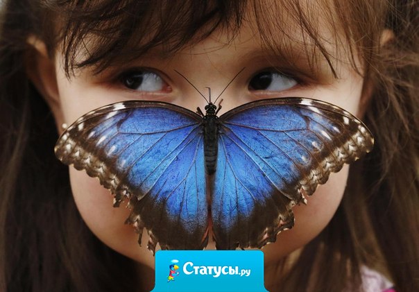 Радость заключена не в вещах. Она в нас самих...