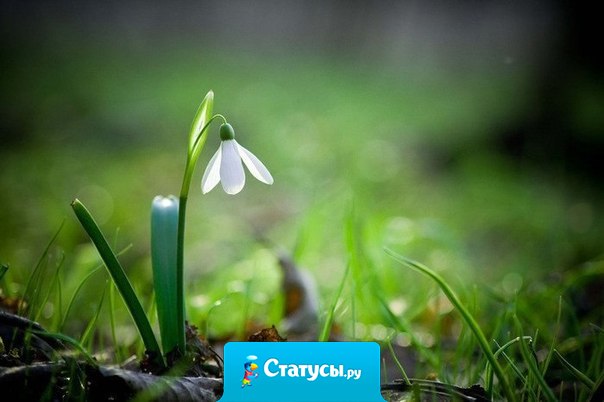 Причина многих жизненных ошибок в том, что мы чувствуем там, где нужно думать - и думаем там, где нужно чувствовать.