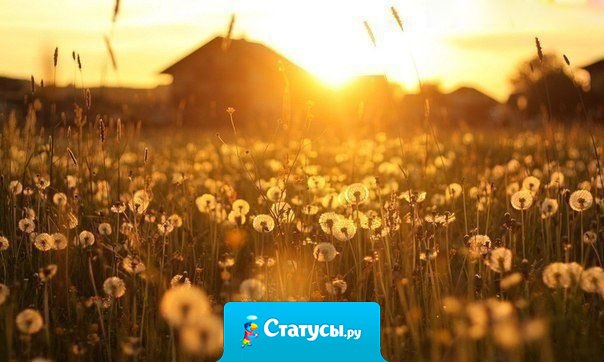 Самая великая победа — победа над своим негативным мышлением.