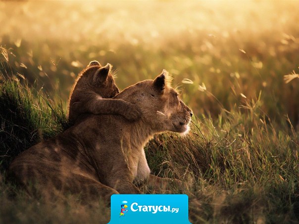 Чем больше в вас хорошего, тем меньше плохого вы видите в других.