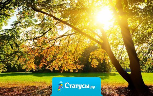 Ты должен заниматься тем, что делает тебя счастливым. Забудь о деньгах или других ловушках, которые принято считать успехом. Если ты счастлив, работая в деревенском магазине, работай. У тебя всего одна жизнь.