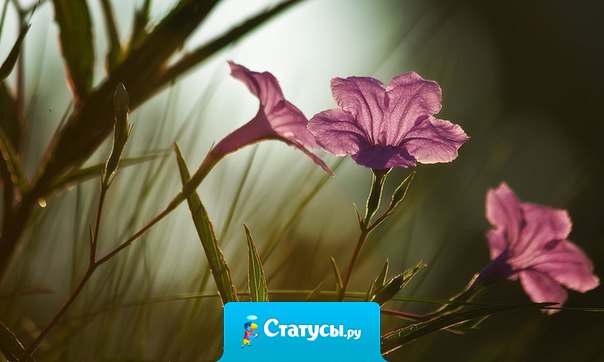 Любая зависимость от других очень хрупка, потому что то, что другие могут дать, они же и отберут. Только то, что было вашим с самого начала, останется вашим до конца.