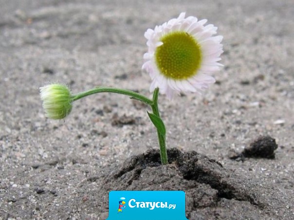 Все люди делятся на две категории: те, с которыми легко, и также легко без них, и те, с которыми сложно, но невозможно без них.