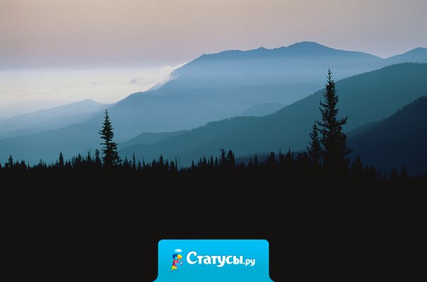 Люди мелкого ума чувствительны к мелким обидам; люди большого ума все замечают и ни на что не обижаются.