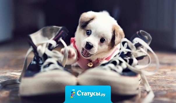 Никогда не отказывайся от того, что заставляет тебя улыбаться.