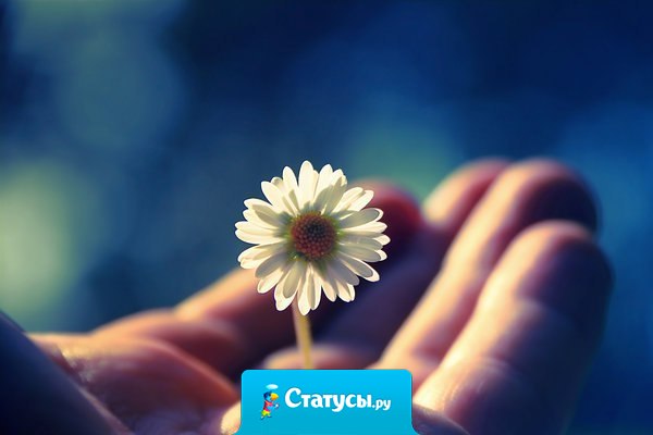 В ожидании чуда делай добрые дела. Тогда и чудо придет к тебе не с пустыми руками.