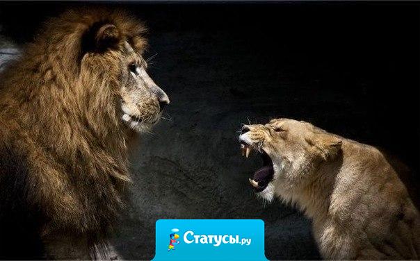 Если вам хочется похвалить кого-то — сделайте это немедленно, а если поругать — отложите до завтра: возможно, вы сочтете, что этого делать не стоит.