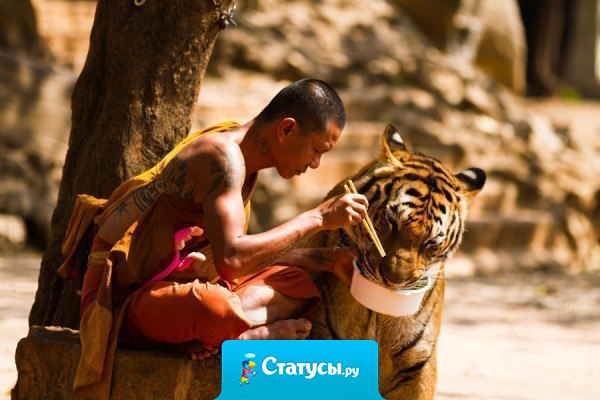 Если хотите в этой жизни попробовать все, попробуйте быть добрым, чeстным и нeиспорчeнным.