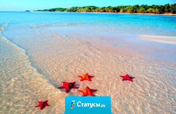 Работа, работа, перейди на Федота: стирка - на Ирку, глажка - на Машку, готовка - на Вовку, а мне - на море путевку!