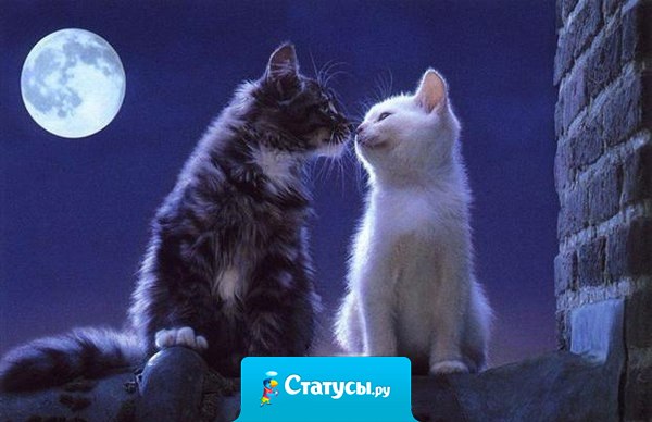 Будь с тем, с кем хорошо, остальные подождут.