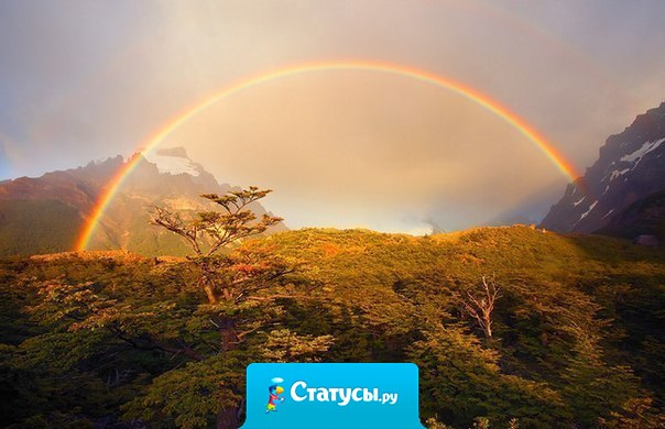 Что бы увидеть радугу, нужно пережить дождь.
