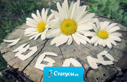 Хочу проснуться утром, а рядом на подушке лежит букет ромашек, и записка: «Не мучай цветы - Любит - Не любит?… Люблю и очень сильно!»