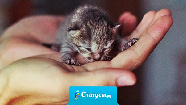 Не верь тому, кто говорит красиво, в его словах всегда игра. Поверь тому, кто молчаливо, творит красивые дела.