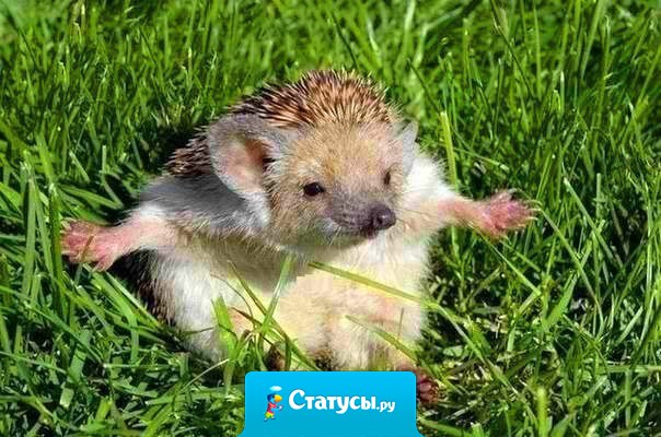 Этот Мир – продолжение нас... а мы – его... И если верить в чудеса, они обязательно произойдут!