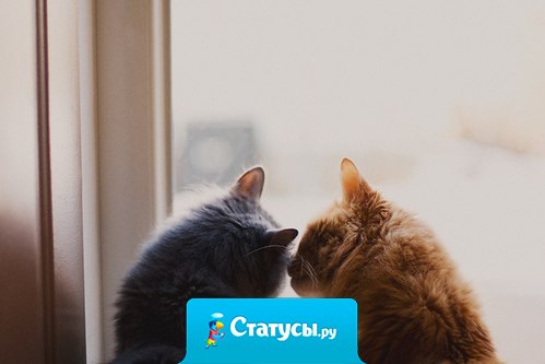 Во мне слишком много тебя, а в тебе меня. Мы не можем быть чужими