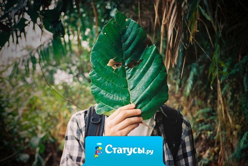 Я не понимаю своих чувств и мыслей.