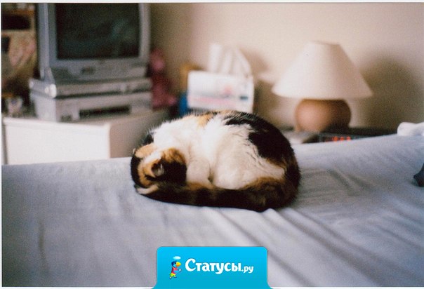 Есть люди настолько близкие, что им можно рассказать даже свои сны.