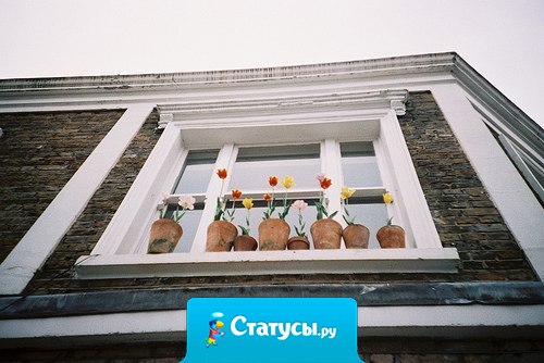 Хочу по вечерам не расходиться по разным домам, а идти в один дом – в наш дом.