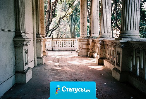 Самое паршивое в воспоминаниях, в хороших воспоминаниях – знать, что те моменты никогда не повторятся вновь.