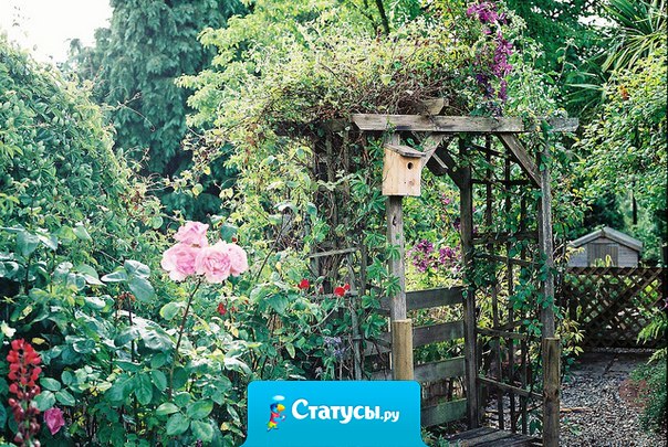 Я хочу научиться отпускать людей. Но отпуская, уже больше не хочу ни видеть их, ни слышать о них. Вырывать чувства с корнями, без остатка.