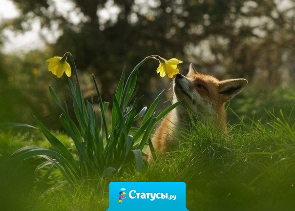 Счастье в простых вещах. Главное — научиться их замечать!