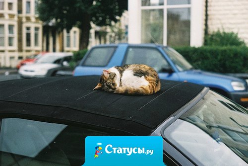 Хочется упасть в бездну сна и забыться хотя бы на какое-то время.