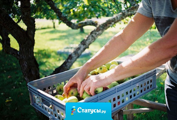 Мне нравится постоянно быть занятым, нравится постоянно что-то делать. Это дает мне ощущение того, что я не трачу свою жизнь впустую