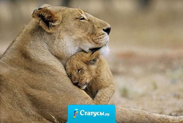 Люби меня тогда, когда я меньше всего этого заслуживаю, потому что в этот момент это то, что мне безумно необходимо. 