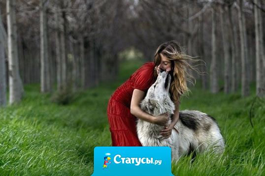 Молчание – лучший способ ответа на бессмысленные вопросы.