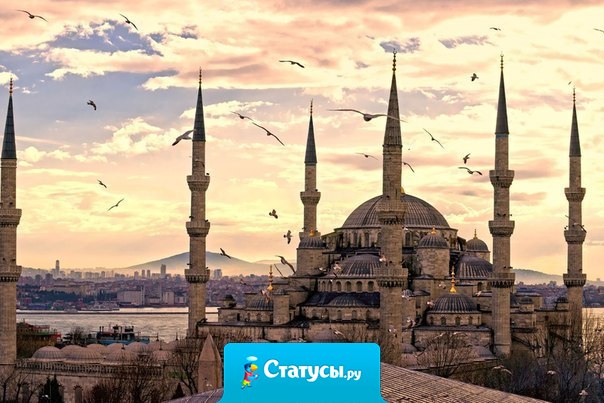 Ум не в возрасте, а в голове.