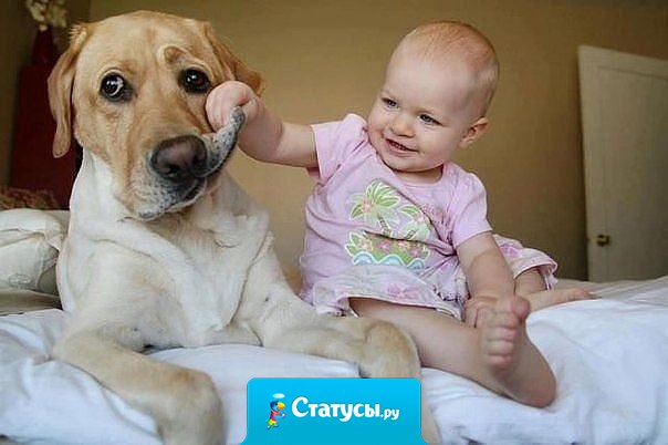 Ну и харю ты отъел на моей каше...