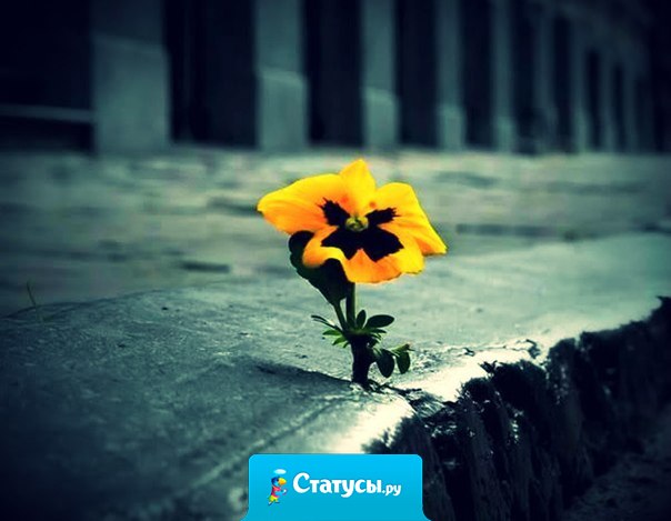 Мир делится на два класса  -  одни веруют в невероятное, другие совершают невозможное.