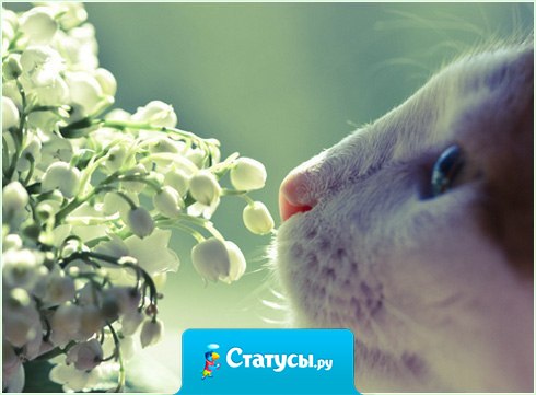 Ты никогда не опоздаешь туда, где тебя ждут.