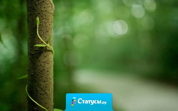 Когда оба пути ошибочны, ты должен выбрать третий. И если его нет, то должен его создать.