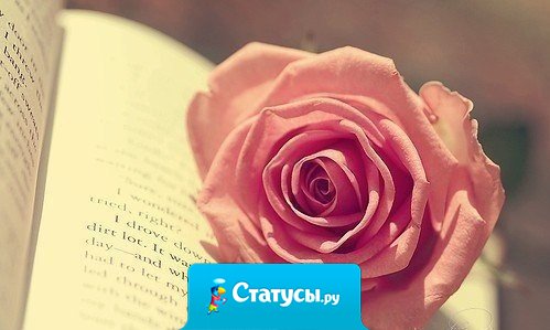 Не пытайтесь быть кем-то другим, будьте сами собой. Это и есть настоящая красота.