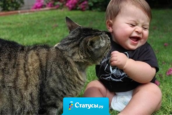 Улыбайтесь новому дню! Счастье состоит из мелочей, заставляющих нас улыбаться!