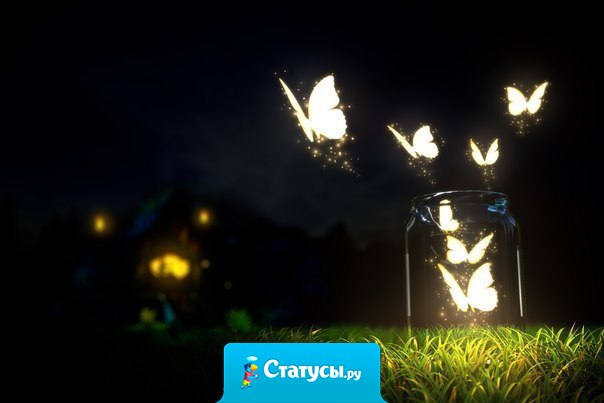 Поклоняясь идеалам красоты, обесцениваем значимость души...