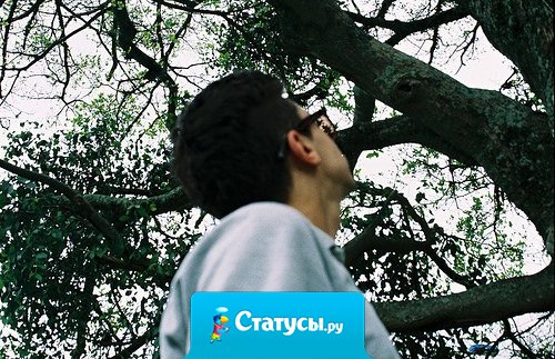 Мне давно не приходилось говорить с кем-либо по душам.