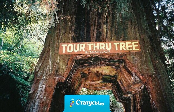 В один момент ты просто перегораешь. И все, человека как будто и не существовало.