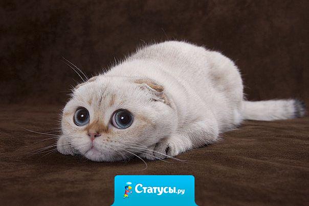 Так выглядит женщина, которая уже что - то придумала.