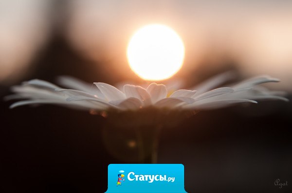 В этом мире можно искать всё, кроме Любви и Смерти… Они сами тебя найдут, когда придет время.