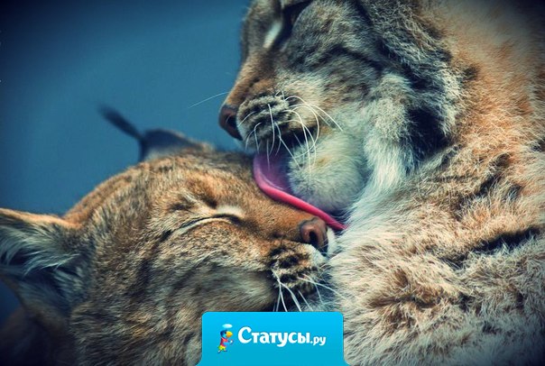 Это только кажется, что за все в жизни платят деньгами. По настоящему важные вещи оплачиваются частичками души.