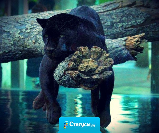 Сколько ни прилагай усилий, все самое интересное случится неожиданно.