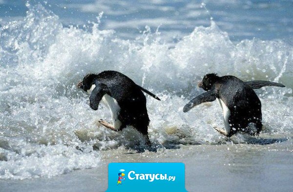 Какая роскошь - быть таким, какой ты есть, без вечного желания получить за это отличную оценку.