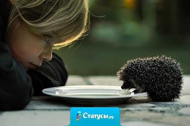 Все мы как ежики — прячем себя, свои слабости и часто больно колем, чтобы не укололи нас. И не видим друг друга настоящих. Иногда — всю жизнь.