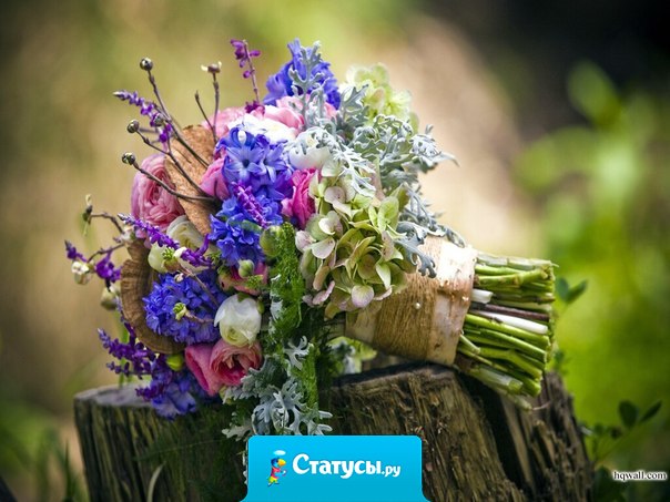 Слова часто портят то, что хочет сказать Сердце.