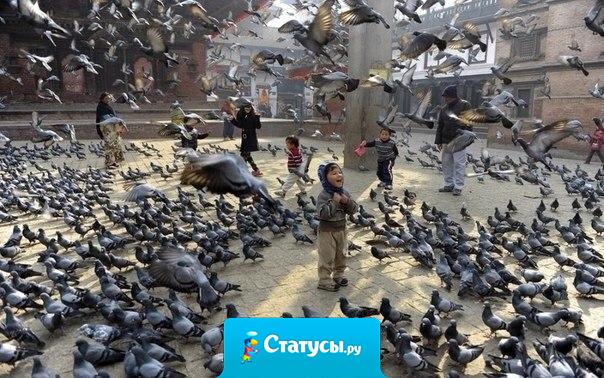 Порою нужно чего-то не знать или что-то пропустить, чтобы оставаться счастливым.