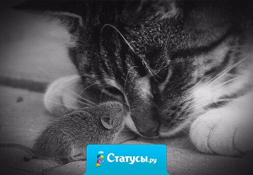 Даже в самом крошечном живом существе находится безграничная душа.