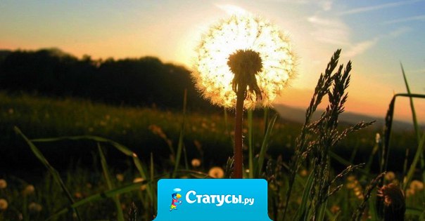 Не нужно додумывать слишком много – так вы создаете проблемы, которых изначально не было.