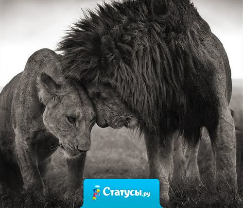 Пока вы обдумываете, по пути вам с человеком или не по пути, у него есть время на то, чтобы перехотеть с вами куда-то идти..